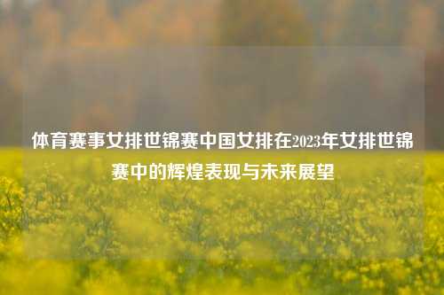 体育赛事女排世锦赛中国女排在2023年女排世锦赛中的辉煌表现与未来展望