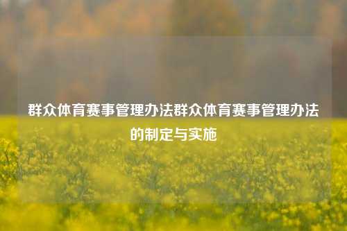 群众体育赛事管理办法群众体育赛事管理办法的制定与实施
