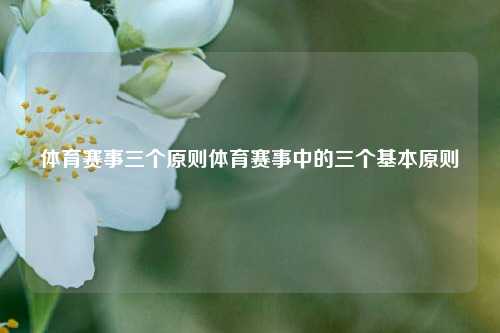体育赛事三个原则体育赛事中的三个基本原则