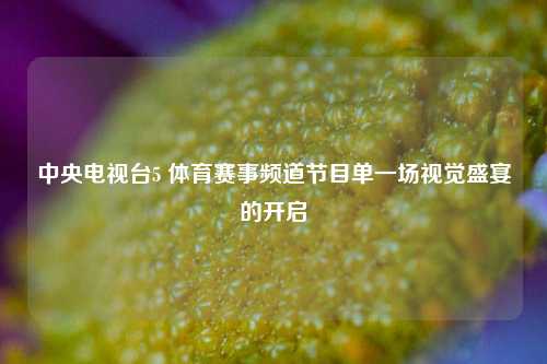 中央电视台5 体育赛事频道节目单一场视觉盛宴的开启