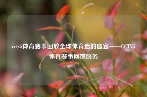 cctv5体育赛事回放全球体育迷的盛宴——CCTV5体育赛事回放服务
