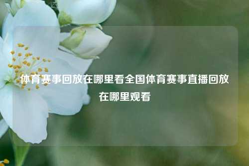 体育赛事回放在哪里看全国体育赛事直播回放在哪里观看