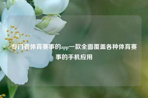 专门看体育赛事的app一款全面覆盖各种体育赛事的手机应用