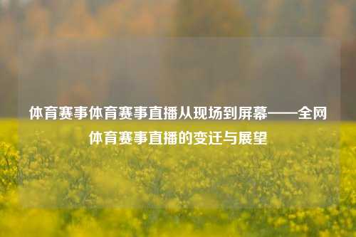 体育赛事体育赛事直播从现场到屏幕——全网体育赛事直播的变迁与展望
