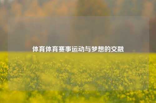 体育体育赛事运动与梦想的交融