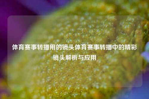 体育赛事转播用的镜头体育赛事转播中的精彩镜头解析与应用
