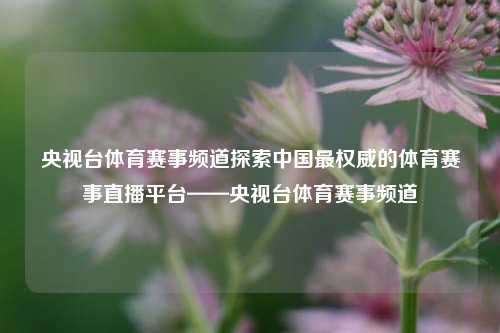 央视台体育赛事频道探索中国最权威的体育赛事直播平台——央视台体育赛事频道