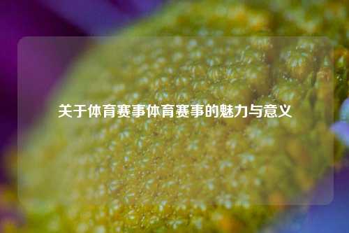关于体育赛事体育赛事的魅力与意义