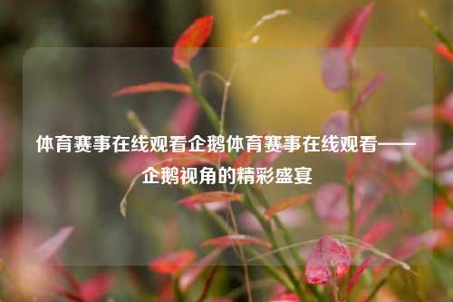 体育赛事在线观看企鹅体育赛事在线观看——企鹅视角的精彩盛宴