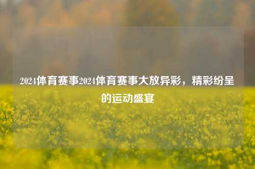 2024体育赛事2024体育赛事大放异彩，精彩纷呈的运动盛宴
