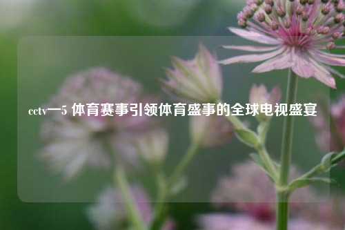 cctv一5 体育赛事引领体育盛事的全球电视盛宴