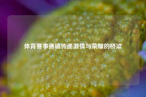 体育赛事通稿传递激情与荣耀的桥梁