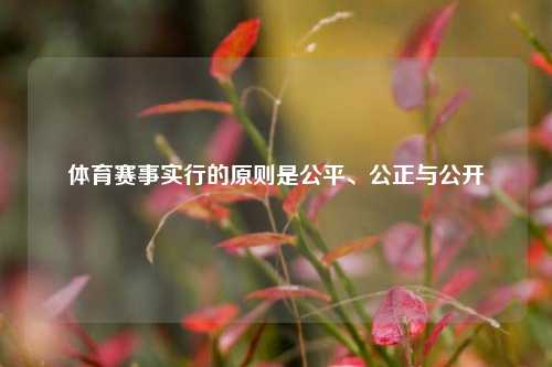 体育赛事实行的原则是公平、公正与公开