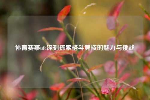 体育赛事ufc深刻探索格斗竞技的魅力与挑战
