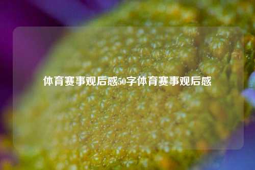 体育赛事观后感50字体育赛事观后感