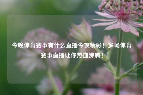 今晚体育赛事有什么直播今夜精彩！多场体育赛事直播让你热血沸腾！