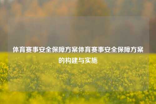 体育赛事安全保障方案体育赛事安全保障方案的构建与实施