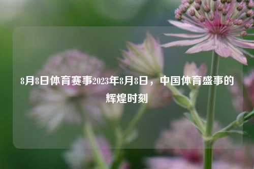 8月8日体育赛事2023年8月8日，中国体育盛事的辉煌时刻
