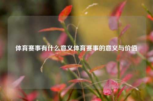 体育赛事有什么意义体育赛事的意义与价值