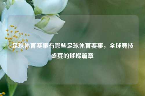 足球体育赛事有哪些足球体育赛事，全球竞技盛宴的璀璨篇章