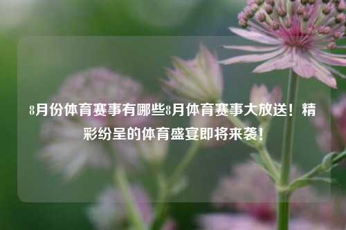 8月份体育赛事有哪些8月体育赛事大放送！精彩纷呈的体育盛宴即将来袭！