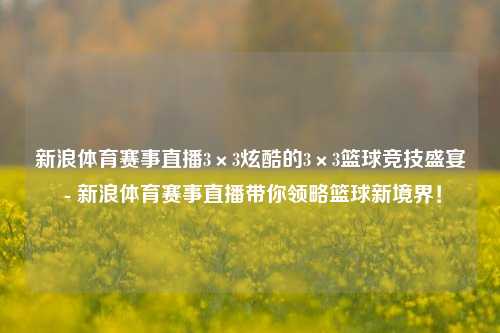 新浪体育赛事直播3×3炫酷的3×3篮球竞技盛宴 - 新浪体育赛事直播带你领略篮球新境界！